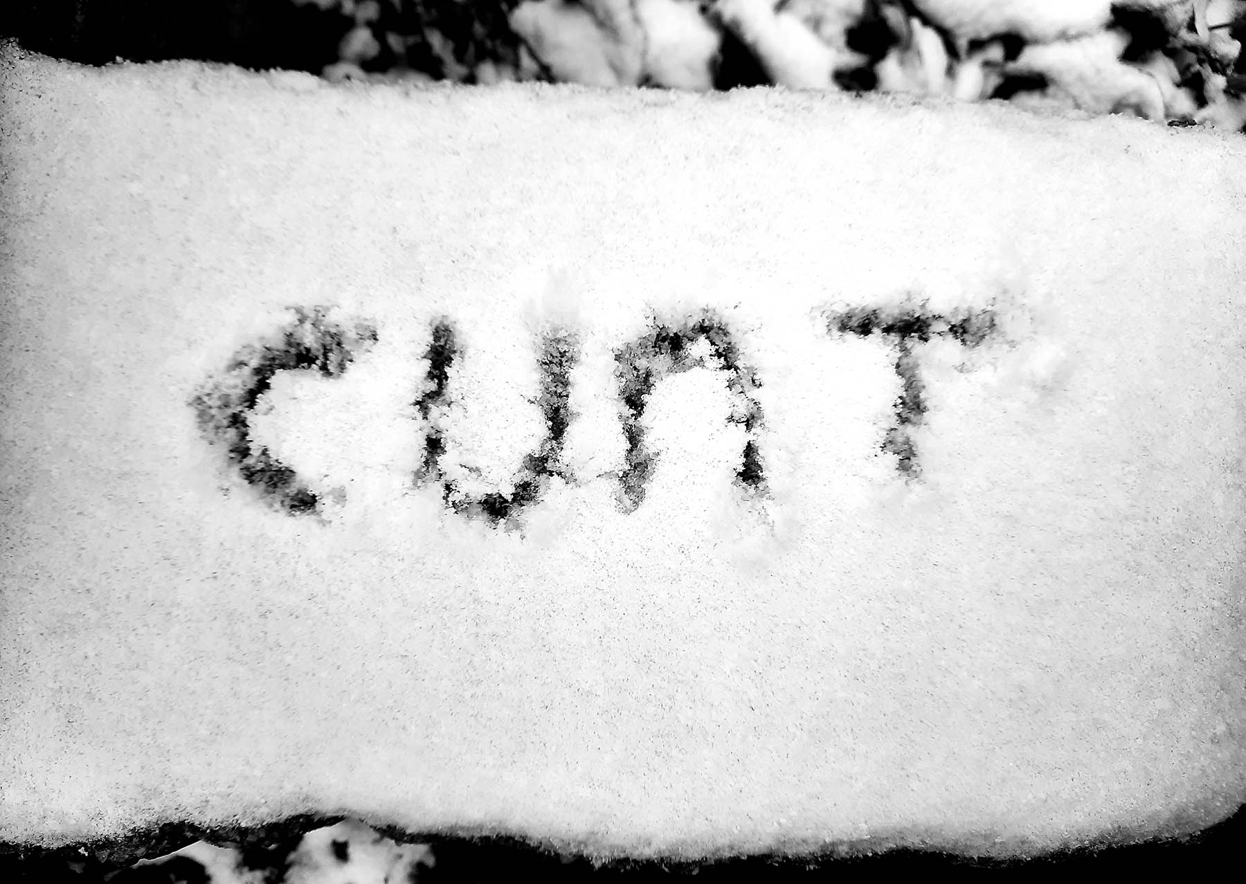 Cunt spelt in snow